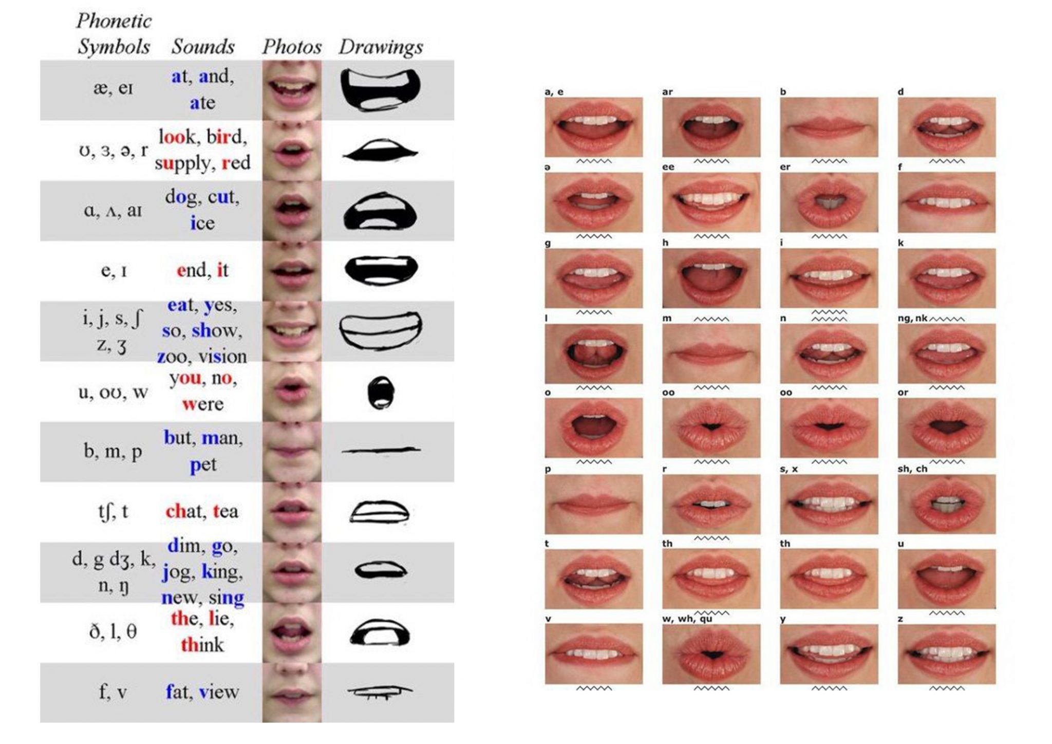 Week8: Phonemes | Yu 3D Animation